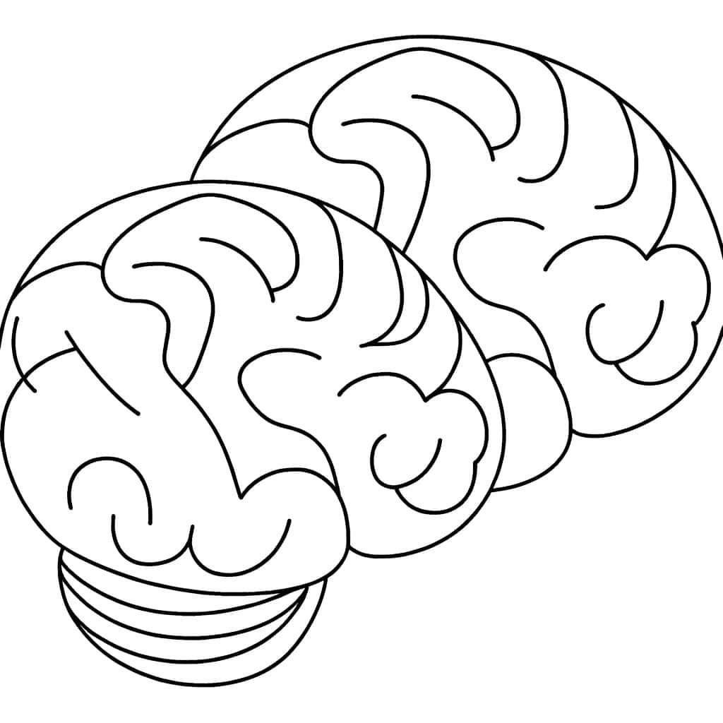 Coloriage Cerveau à colorier à imprimer et colorier