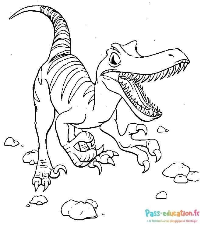 Coloriage T-Rex rugissant à imprimer et colorier
