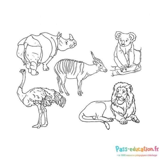 Coloriage Animaux du zoo à imprimer et colorier