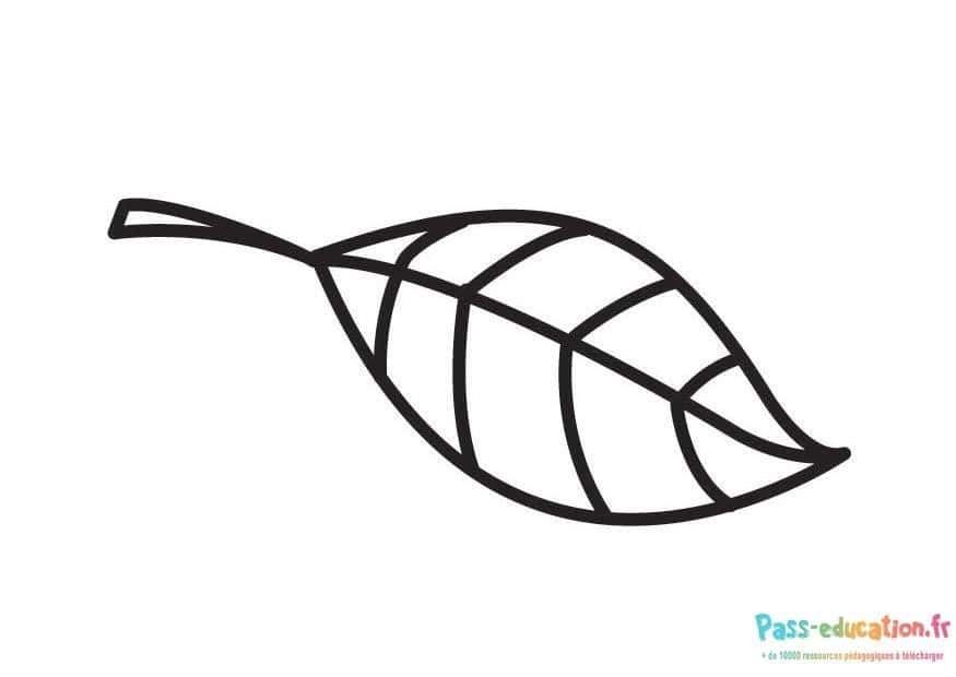 Coloriage Feuille dessinée à imprimer et colorier