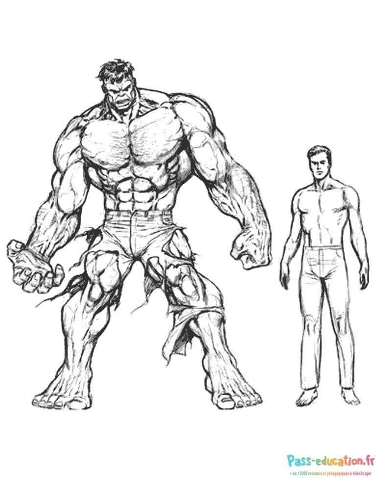 Coloriage Hulk musclé à imprimer et colorier