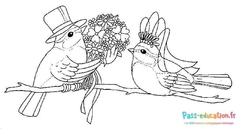 Coloriage Oiseaux mariés à imprimer et colorier