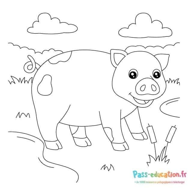 Coloriage Petit cochon à la ferme à imprimer et colorier