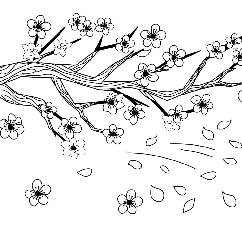 Coloriage Cerisier du Japon à imprimer et colorier