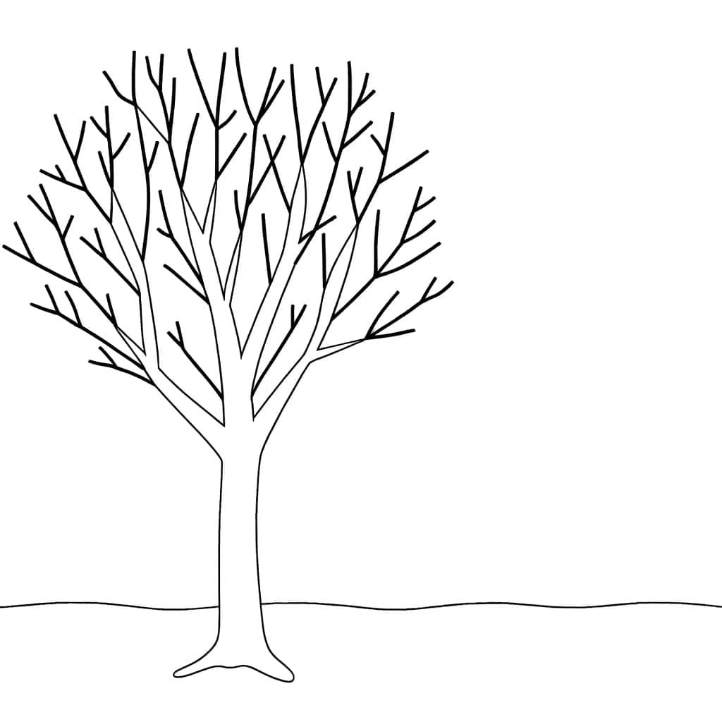 Coloriage Arbre sans feuilles à imprimer et colorier