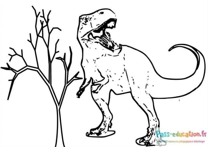 Coloriage Tyrannosaure rugissant à imprimer et colorier