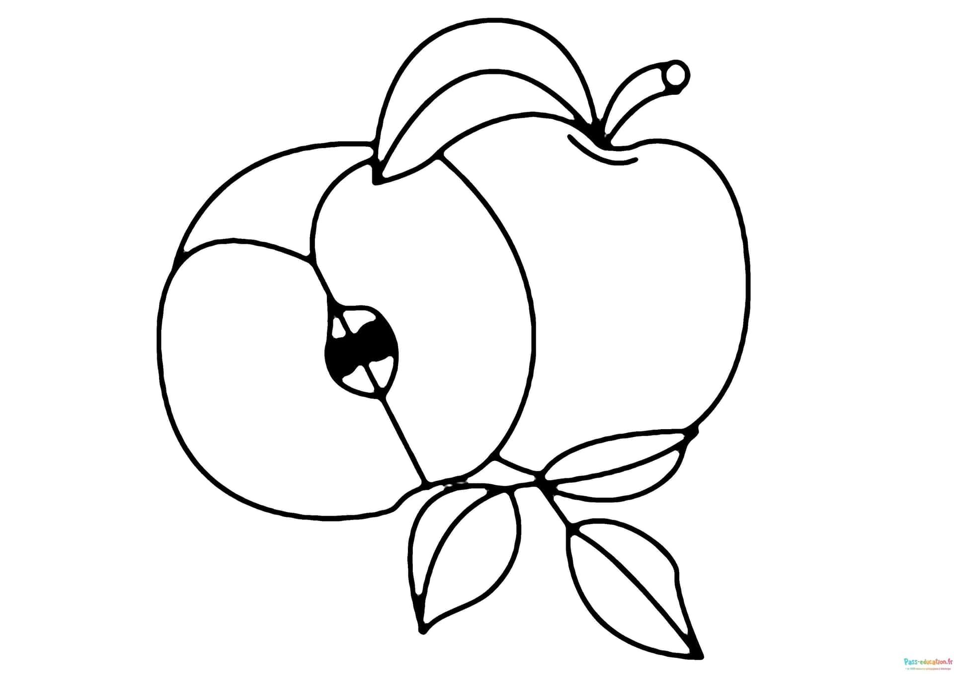 Coloriage Pomme et feuilles à imprimer et colorier