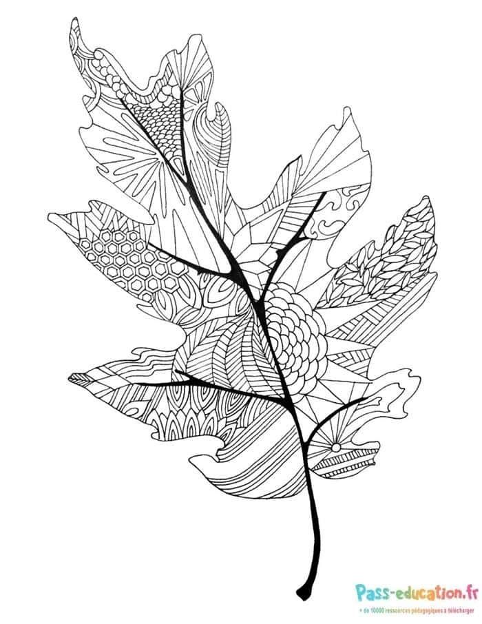 Coloriage Feuille fantaisie à imprimer et colorier