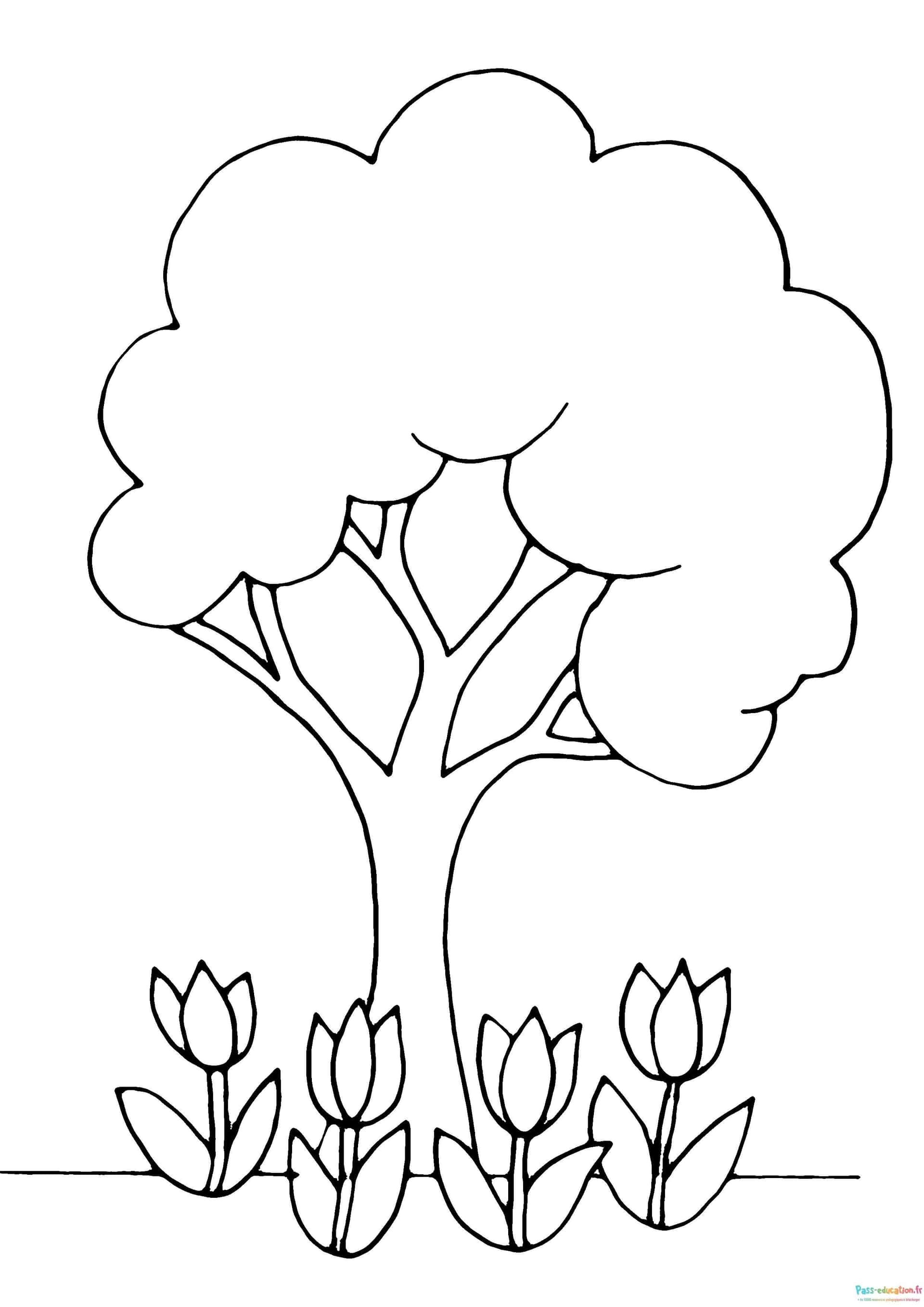 Coloriage Arbre et fleurs à imprimer et colorier