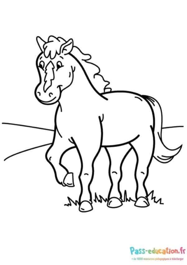 Coloriage Poney souriant à imprimer et colorier