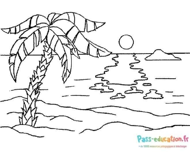Coloriage Plage tropicale à imprimer et colorier