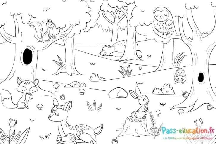Coloriage Forêt animée à imprimer et colorier