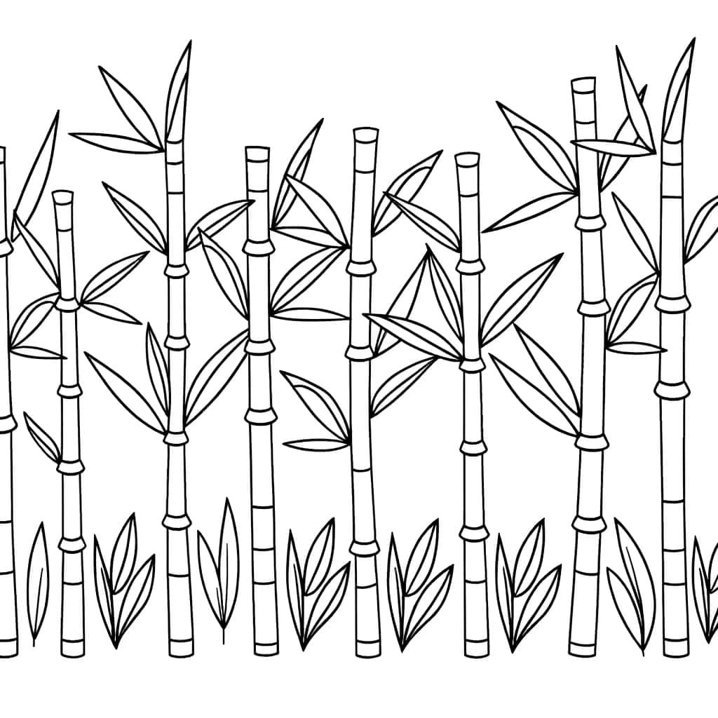 Coloriage Forêt de bambous à imprimer et colorier