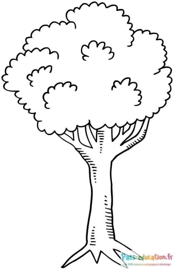 Coloriage Arbre généreux à imprimer et colorier
