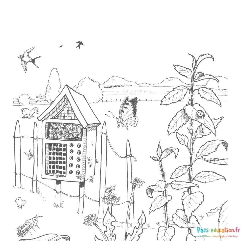 Coloriage Jardinage avec insectes à imprimer et colorier