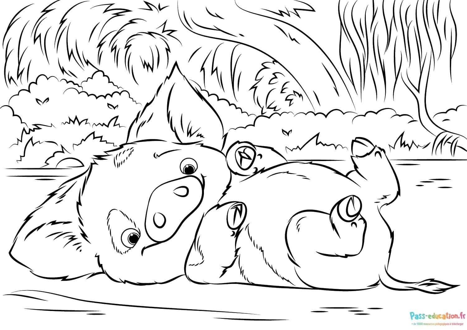 Coloriage Détente de cochon à imprimer et colorier