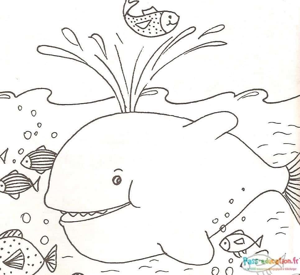 Coloriage Baleine souriante à imprimer et colorier