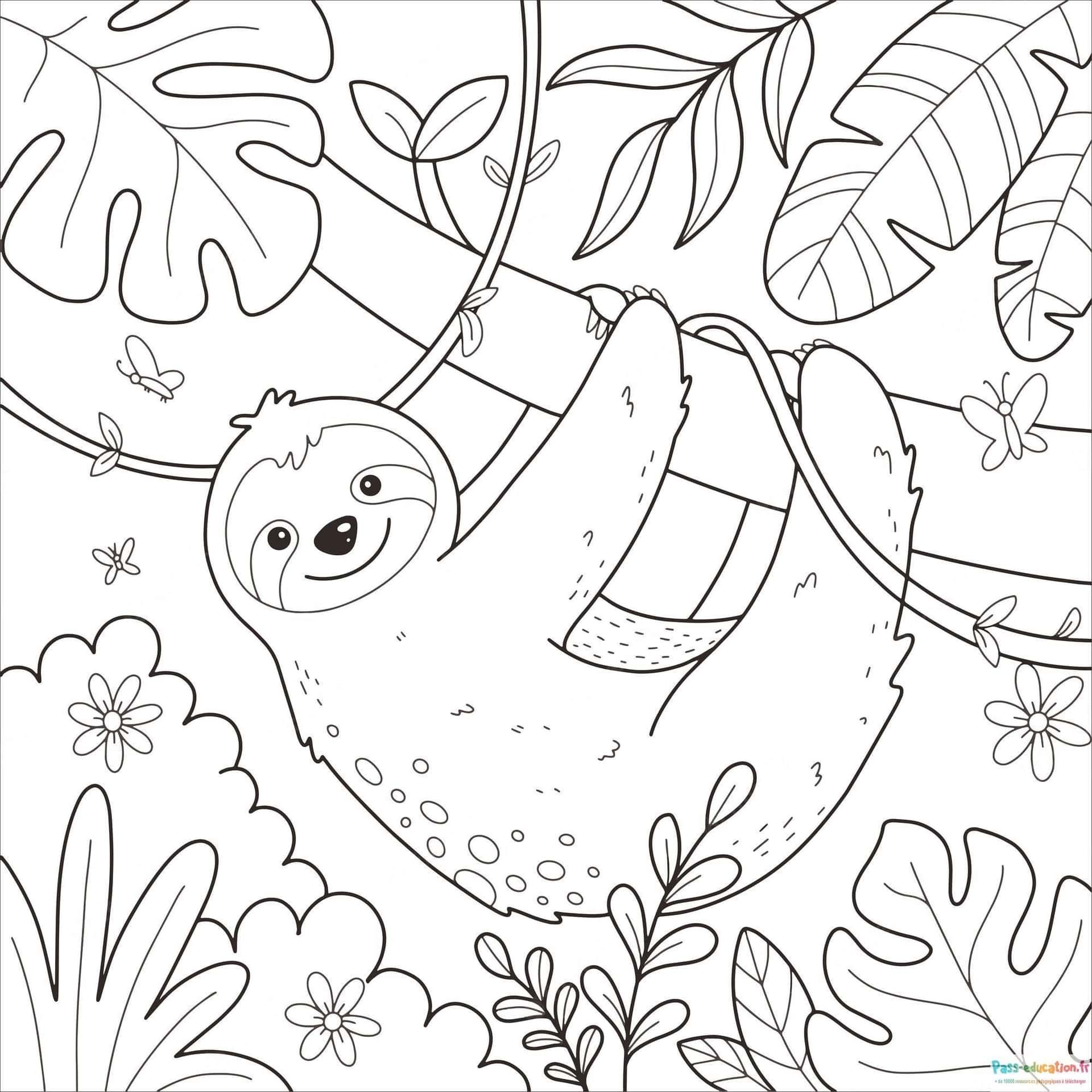 Coloriage Paresseux dans la forêt à imprimer et colorier