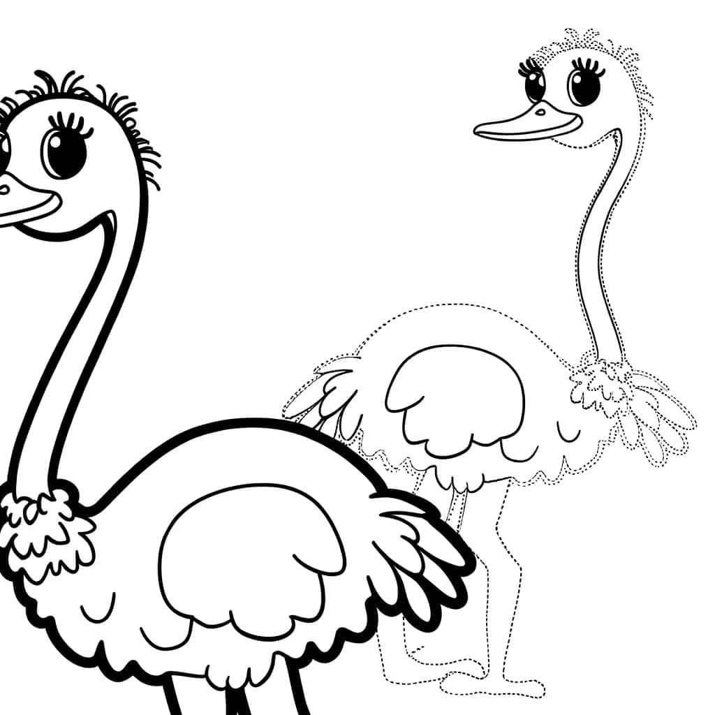 Coloriage Autruche amusante à imprimer et colorier