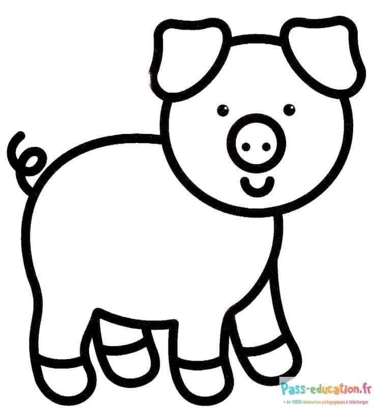 Coloriage Dessin cochon simple à imprimer et colorier