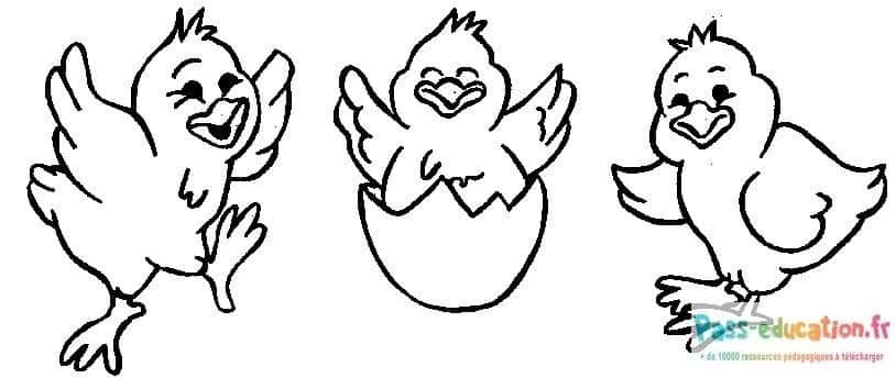 Coloriage Trois poussins joyeux à imprimer et colorier