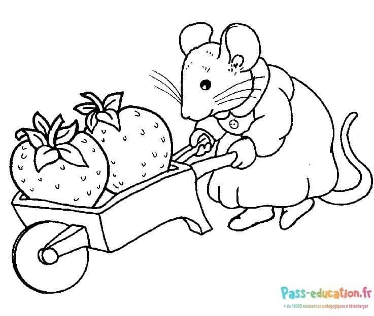 Coloriage Souris et fraises à imprimer et colorier