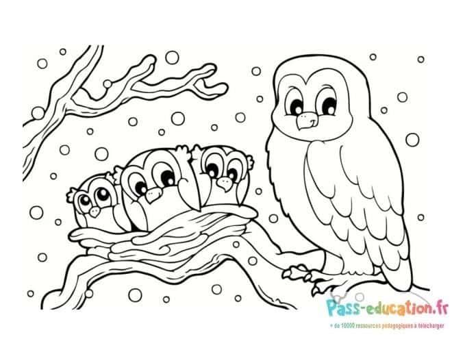 Coloriage Famille chouettes à imprimer et colorier