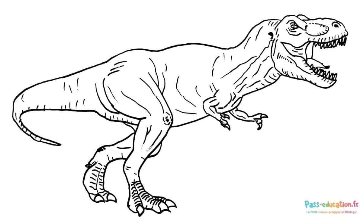 Coloriage Tyrannosaure en marche à imprimer et colorier