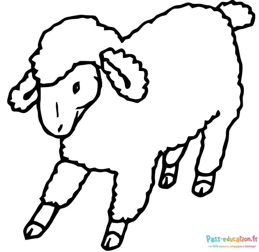 Coloriage Mouton en marche à imprimer et colorier