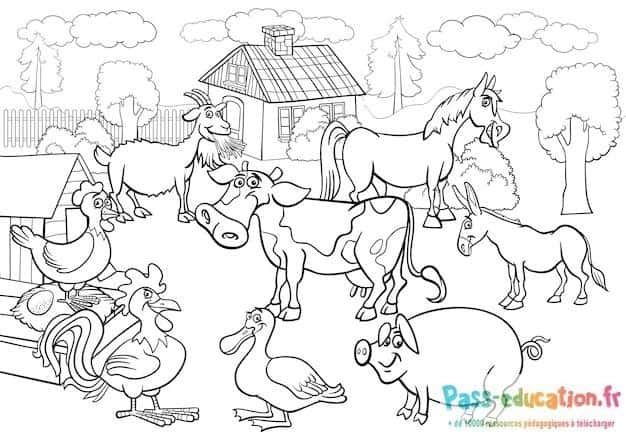Coloriage Animaux de ferme à imprimer et colorier