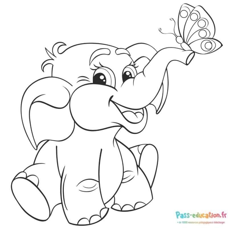 Coloriage Éléphant et papillon à imprimer et colorier