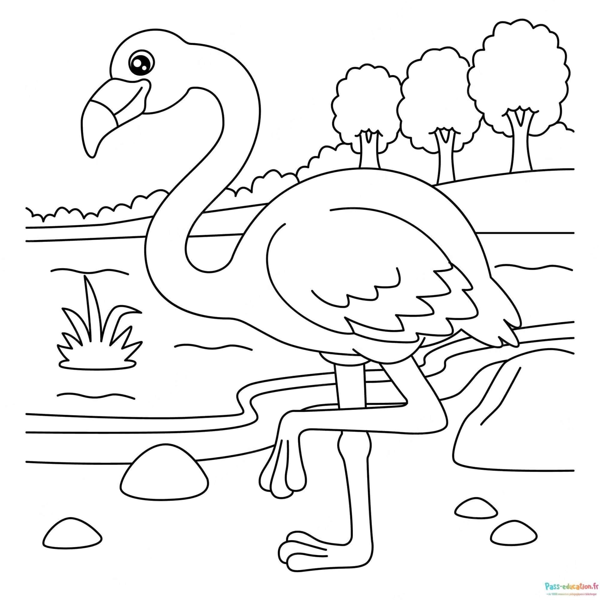 Coloriage Flamant sur une patte à imprimer et colorier