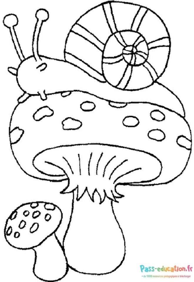 Coloriage Escargot sur champignon à imprimer et colorier