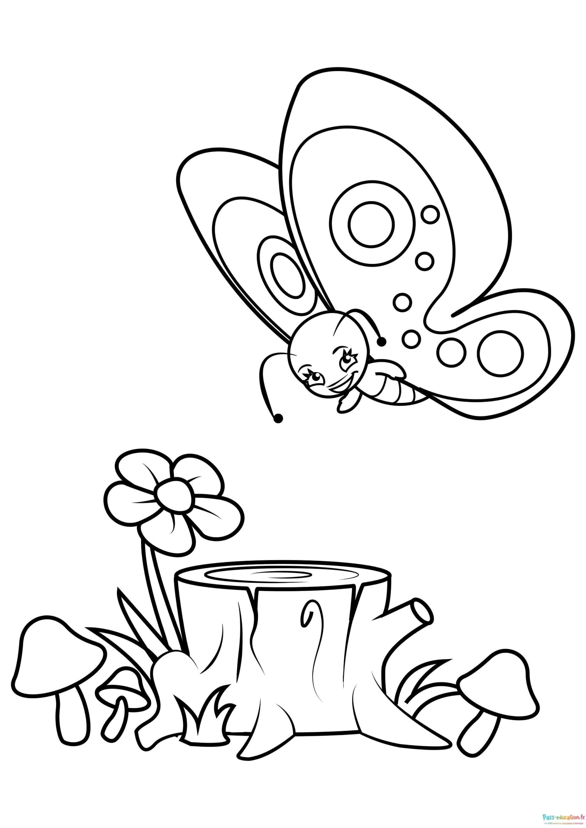 Coloriage Papillon forestier à imprimer et colorier