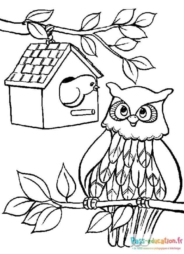Coloriage Hibou et maisonnette à imprimer et colorier