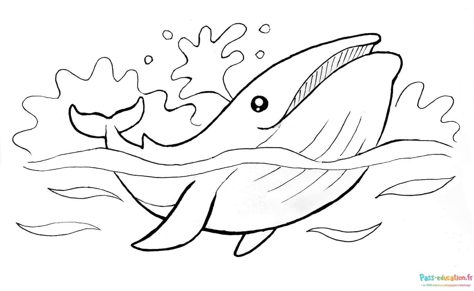 Coloriage Baleine Joyeuse à imprimer et colorier