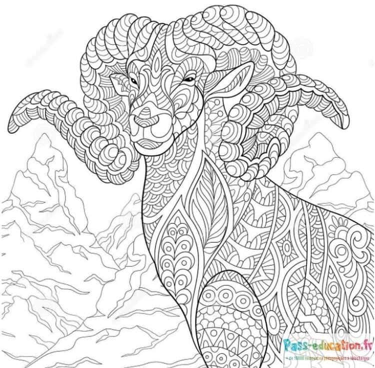 Coloriage Bélier Zentangle à imprimer et colorier