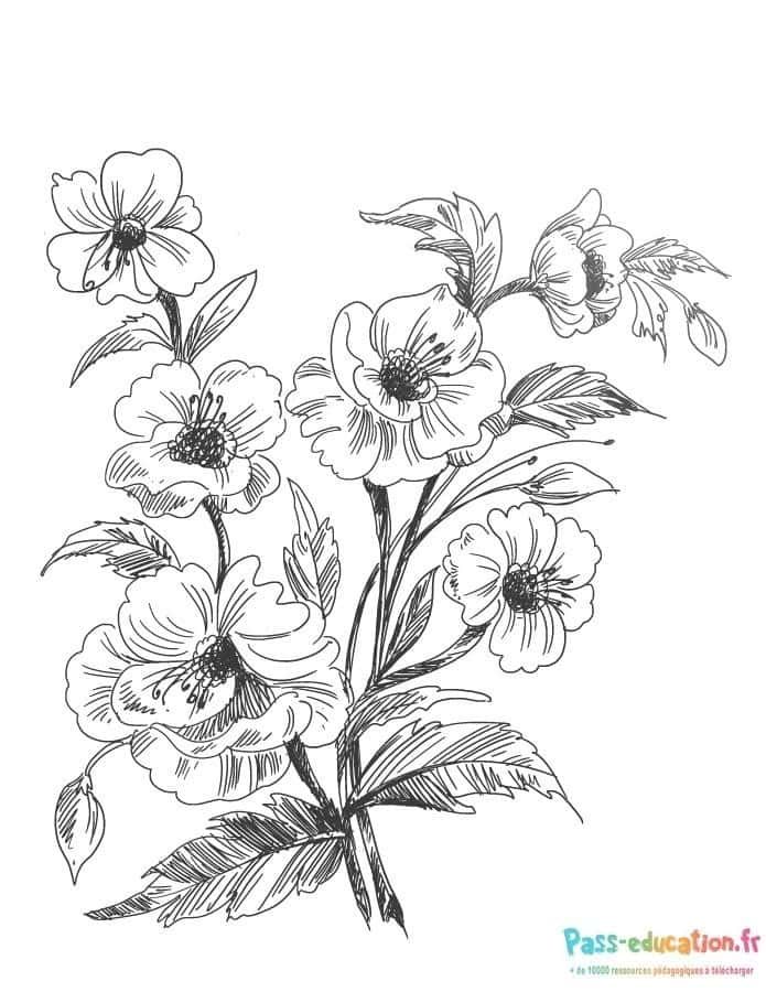 Coloriage Bouquet de fleurs dessiné à imprimer et colorier