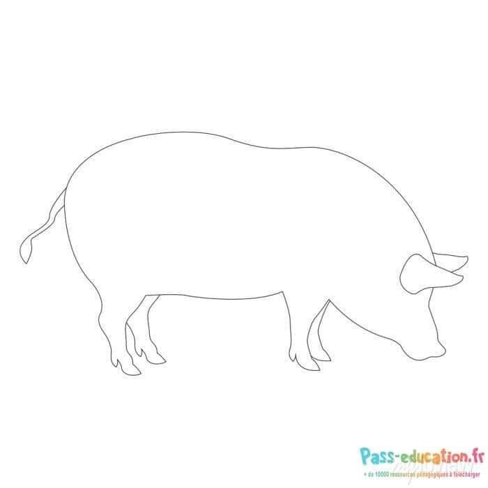 Coloriage Dessin cochon à imprimer et colorier