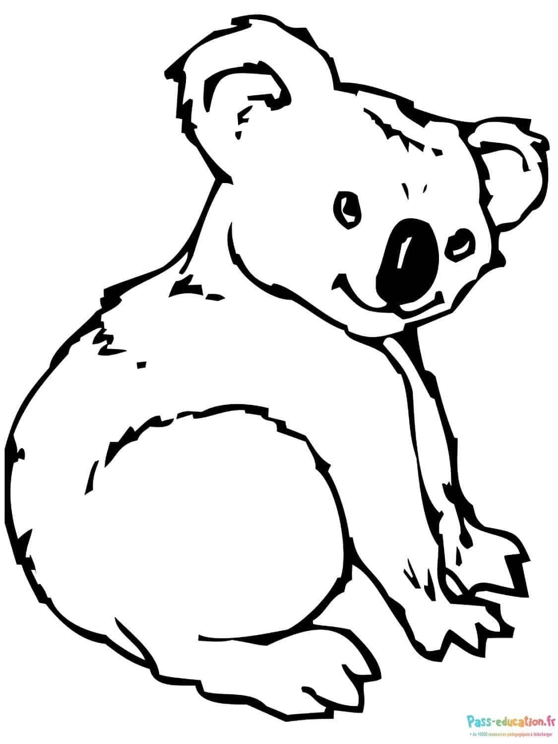 Coloriage Dessin koala à imprimer et colorier
