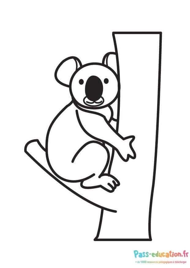 Coloriage Koala sur l'arbre à imprimer et colorier