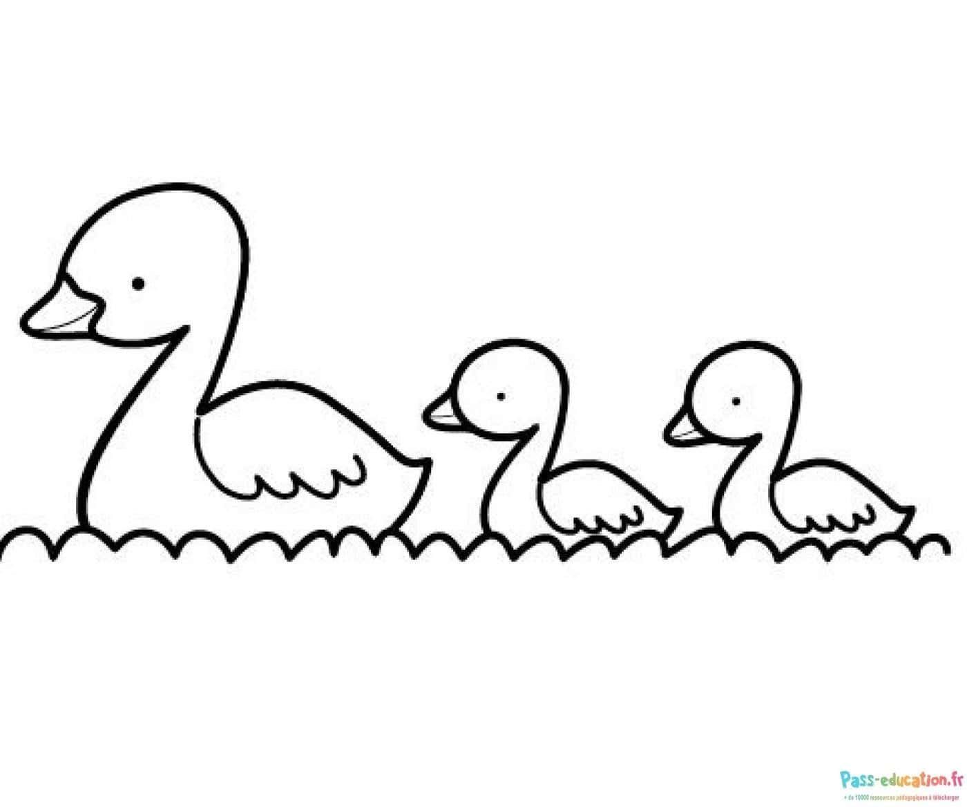 Coloriage Famille de canards à imprimer et colorier