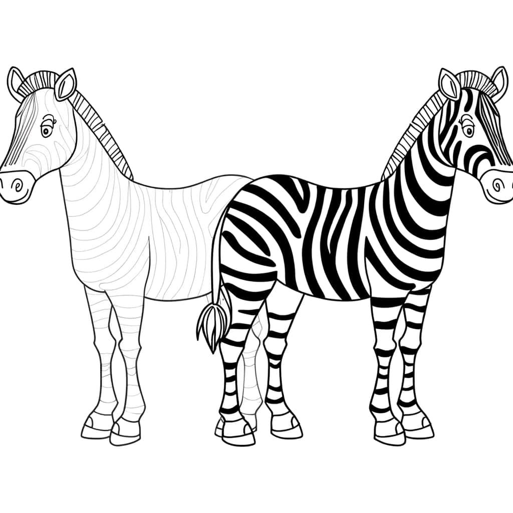 Coloriage Zèbre bicolore à imprimer et colorier