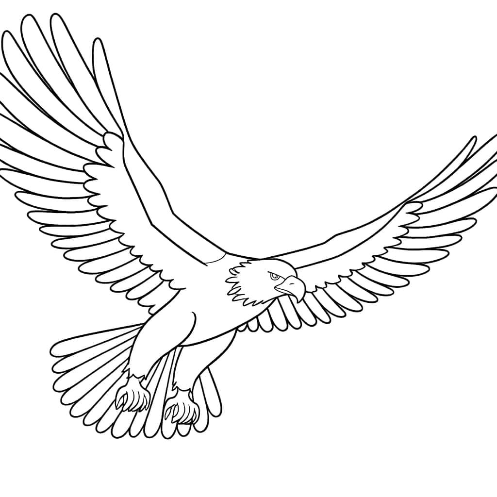 Coloriage Aigle en vol à imprimer et colorier