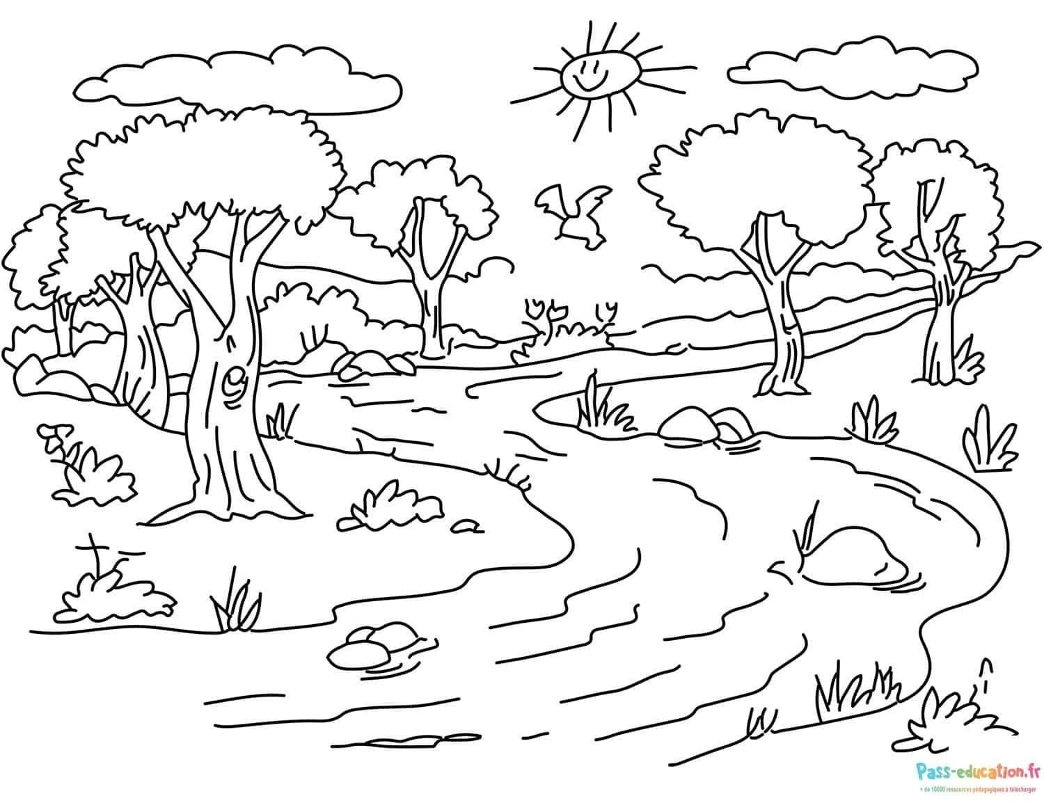 Coloriage Paysage nature à imprimer et colorier