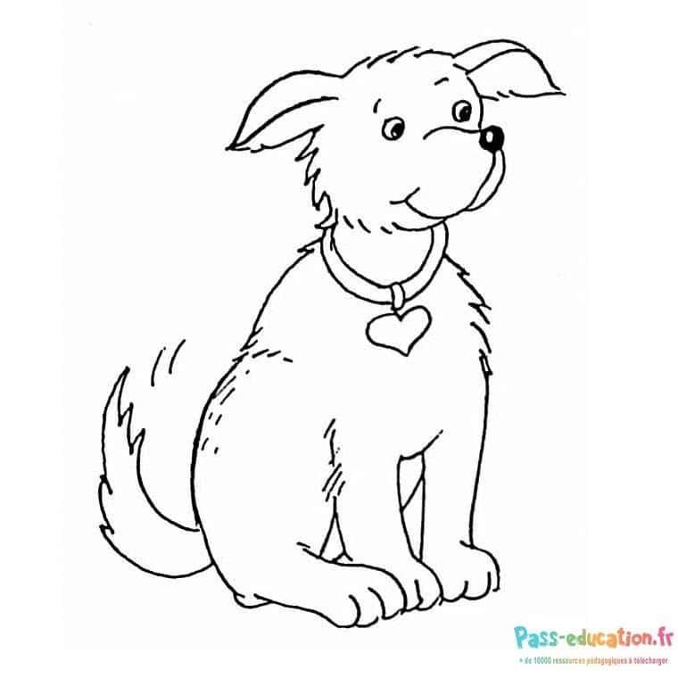Coloriage Chiot attentif à imprimer et colorier