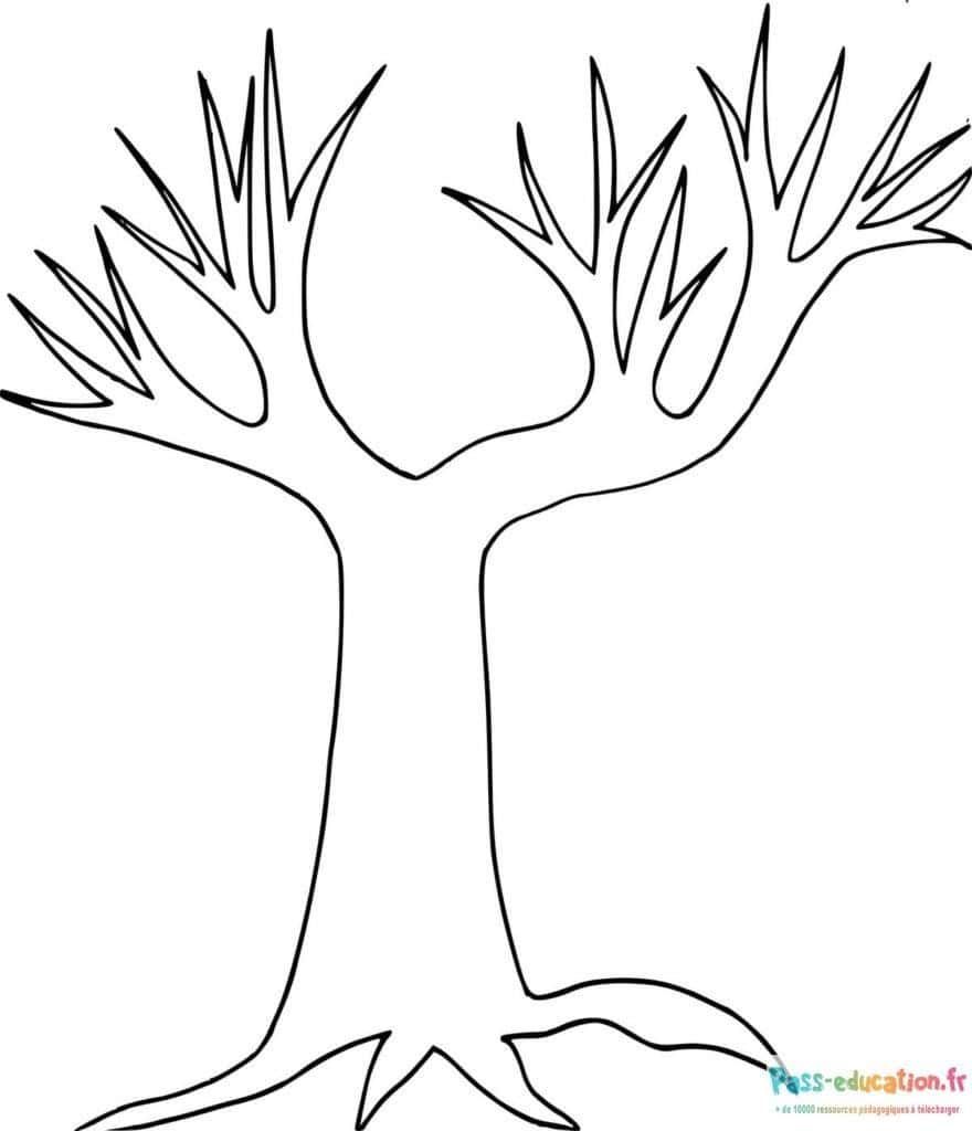 Coloriage Dessin d'arbre stylisé à imprimer et colorier