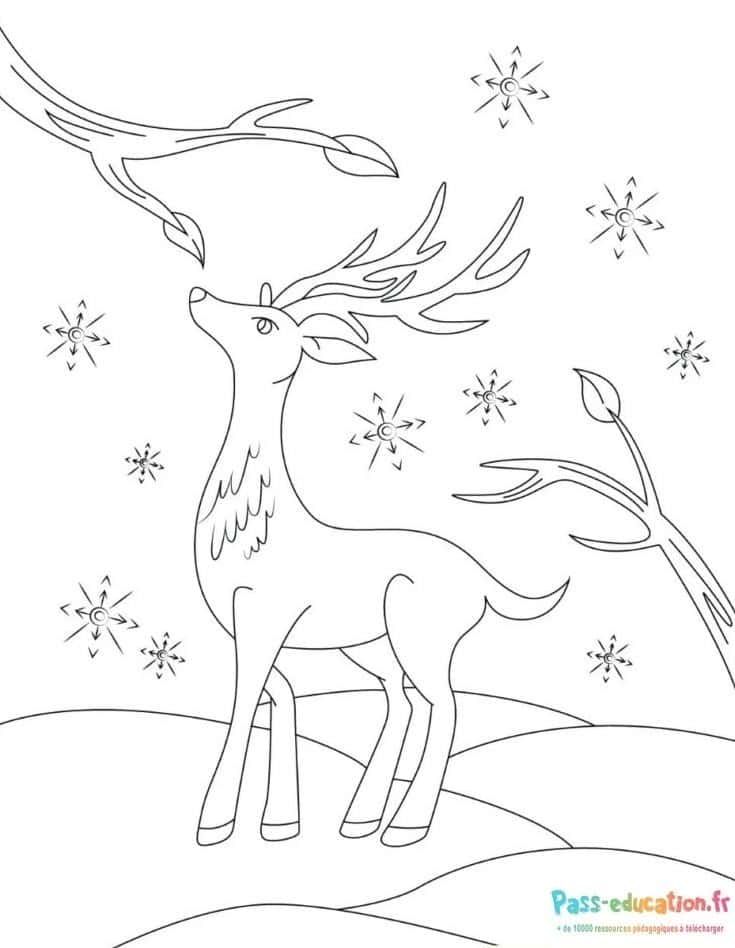 Coloriage Cerf ailé sous la neige à imprimer et colorier