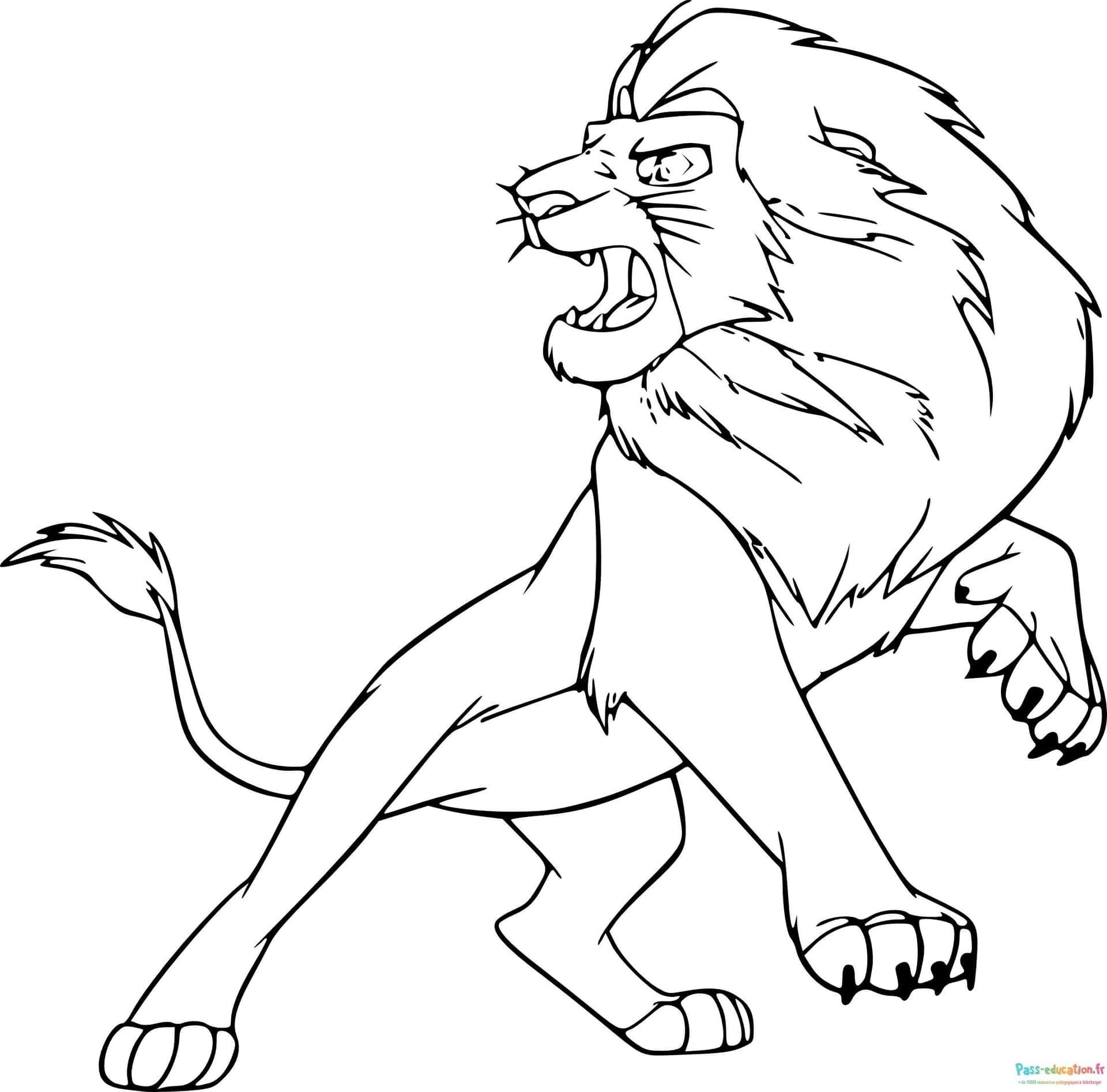 Coloriage Roi Lion Rugissant à imprimer et colorier