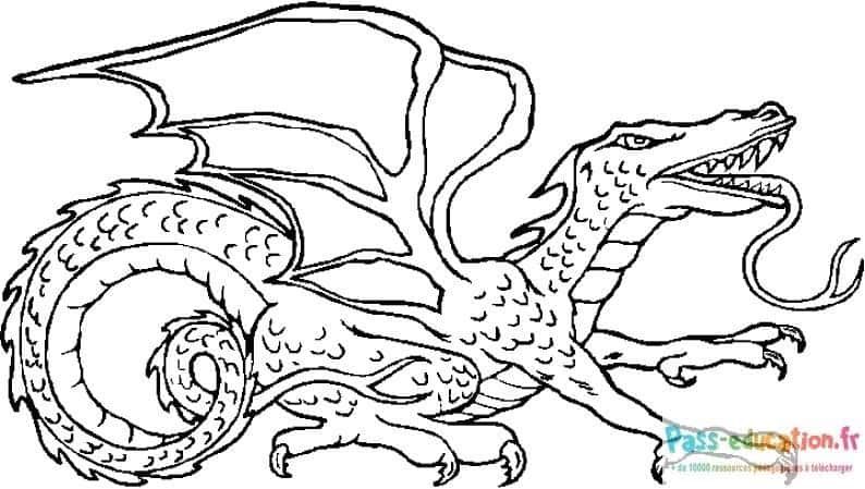 Coloriage Dragon ailé à imprimer et colorier